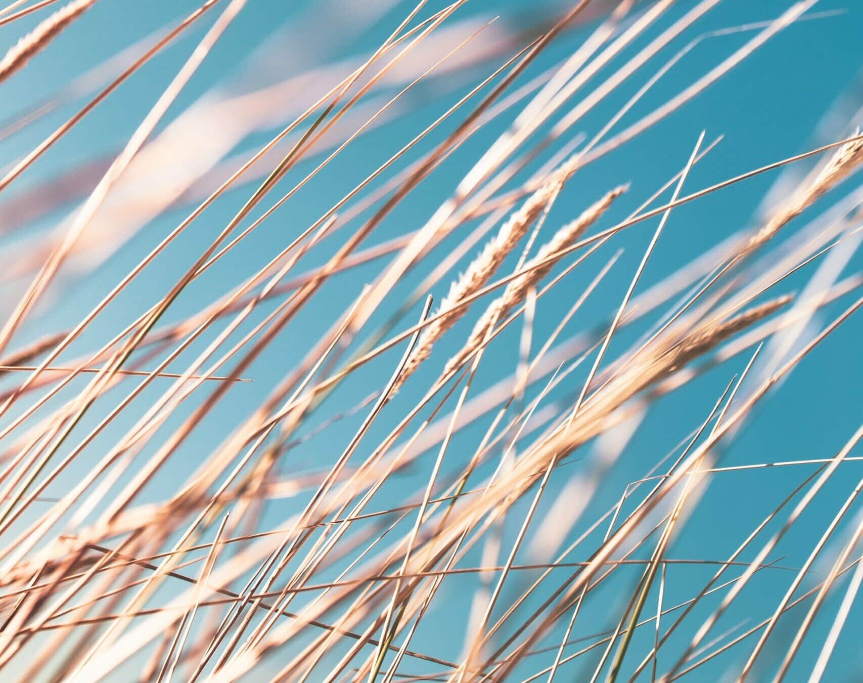 Noom Announces Key Leadership Appointments