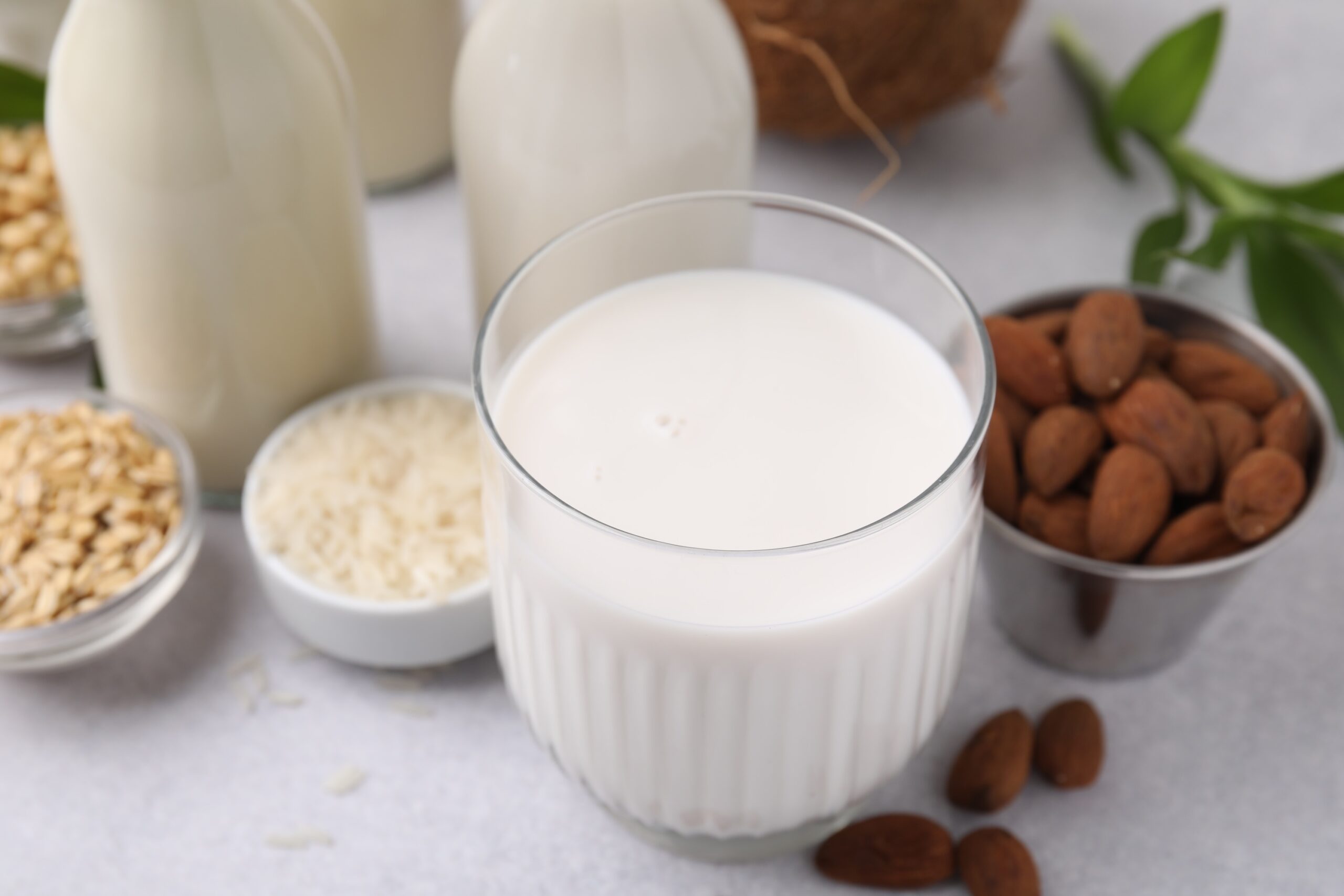 Beverage, Milk, Food